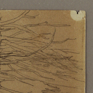 Drawing, Lower Parts of a Group of Trees Growing on a Slope, 1862