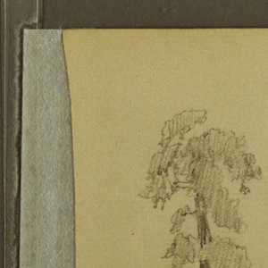 Drawing, Tree, mountains, 1889