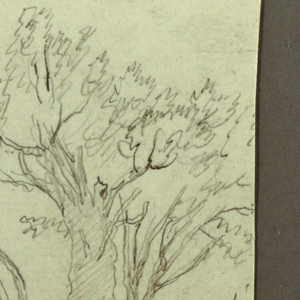 Drawing, Trees, Scalloped, February possibly 1868