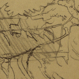 Drawing, Pine Trees, possibly 1868