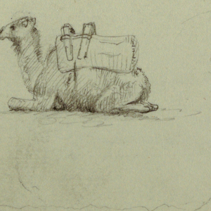 Drawing, Sitting Camel, Two Horses, Grazing, Building