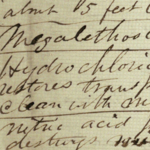 Drawing, Notes; Verso: List of Names and Addresses, possibly 1868–69