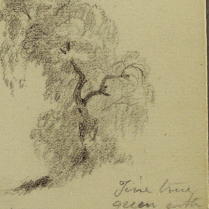 Drawing, Figure and ox Cart, Cypress Tree; Verso: View across Cuitzeo Lake, January 1885