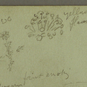 Drawing, Plant and Landscape Study, April 28, 1869