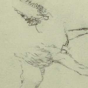 Drawing, Study of Camel