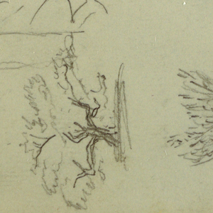 Drawing, Camel Stuides, Tree Bush, and Valley, possibly 1868