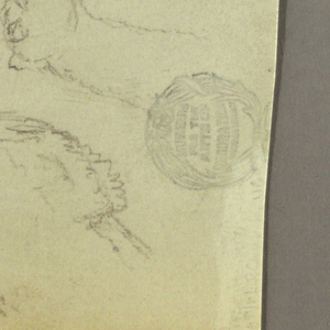 Drawing, Camel Studies, February 21–22, 1868