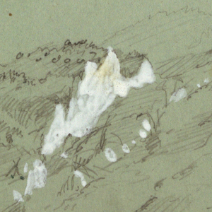 Drawing, Cephalonia, Greece, April 1869