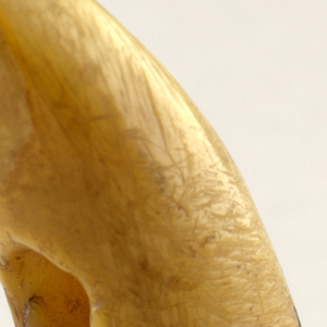 Whale Tooth