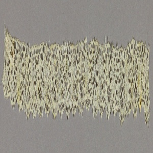 Border