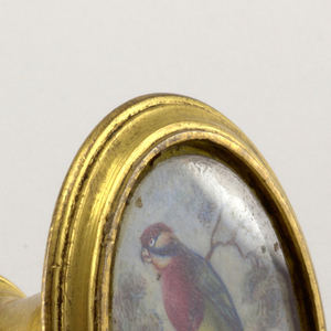 Cloak Pin