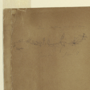 Drawing, Near Guaranda, Ecuador, June 10, 1857