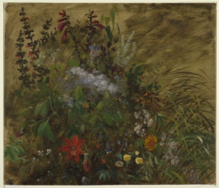 Drawing, Wildflowers, 1865