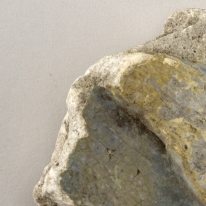 Fragment