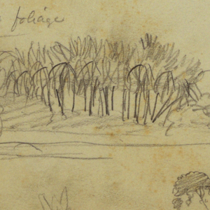 Drawing, Sketches, Ecuador or Colombia; Verso: Sketches, Ecuador or Colombia, 1857