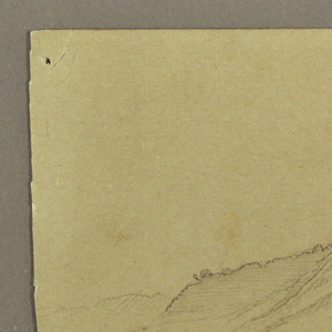 Drawing, Landscape, plants, Bloxburgh, August 1865