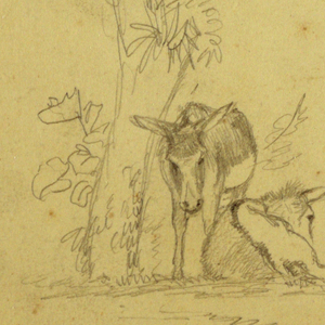 Drawing, Donkeys, June 2, 1857