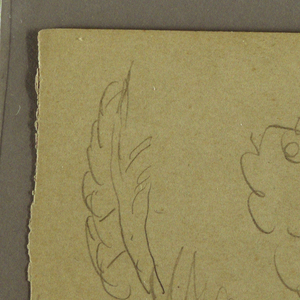 Drawing, Botanical Sketches, June 1865