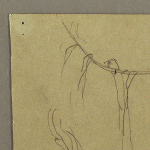 Drawing, Botanical Sketches, May–August 1865
