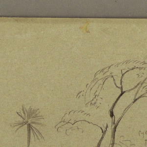 Drawing, Botanical Sketches, figure, May–August 1865