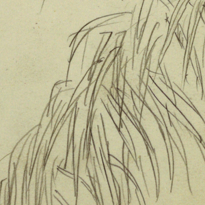 Drawing, Botanical Sketches, 1857