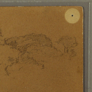 Drawing, Trees, 1857