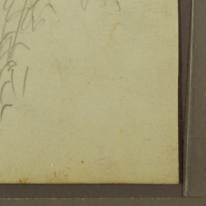 Drawing, Botanical Sketches; Verso: Botanical Sketches, 1857