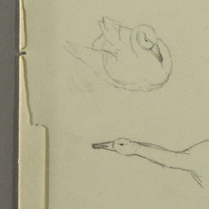 Drawing, Eight studies of ducks, two figure stuides, possibly 1857–58