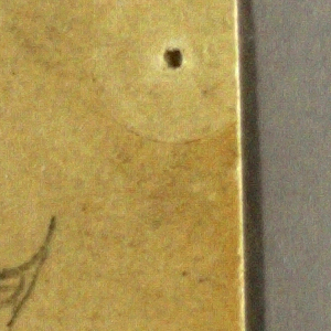 Drawing, Study of Two Antlers, ca. 1850