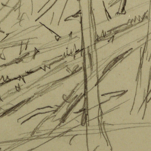 Drawing, Fallen trees, possibly 1877