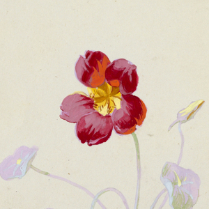 Drawing, from "Saint Germain - Volumes 1 & 2", ca. 1896