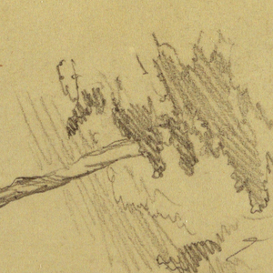 Drawing, Tree, 1877