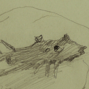 Drawing, Trunk, rock