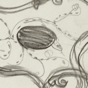 Drawing, Two intersecting fluid fo