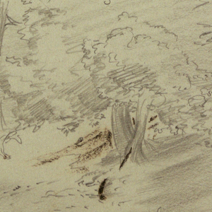 Drawing, Trees, possibly 1860s