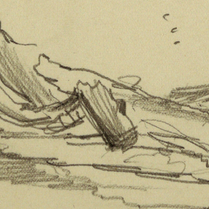 Drawing, Fallen tree, possibly 1877