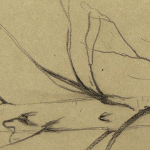 Drawing, Dead tree, October 1865