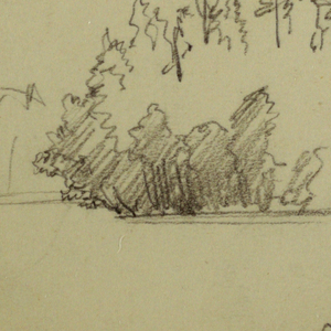 Drawing, Wooded shore, tree study, 1878