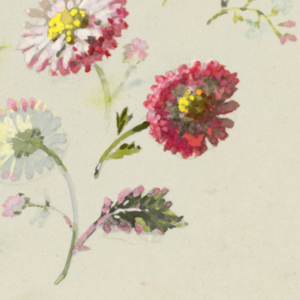 Drawing, from "Saint Germain - Volumes 1 & 2", ca. 1896