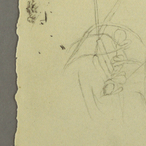 Drawing, Grasses, 1844