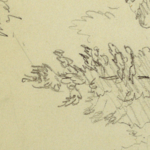 Drawing, Trees in Fog, possibly 1878