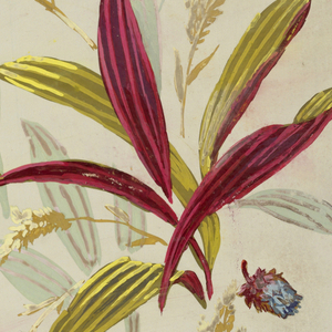 Drawing, from "Saint Germain - Volumes 1 & 2", ca. 1896