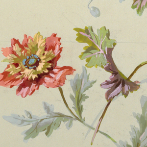 Drawing, from "Saint Germain - Volumes 1 & 2", ca. 1896