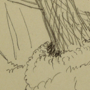 Drawing, Base of tree, boulder, possibly 1877