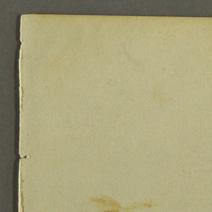 Drawing, Decayed Birch, 1844