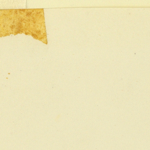 Seaweed (USA)