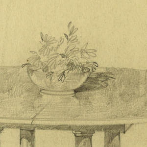 Drawing (USA)