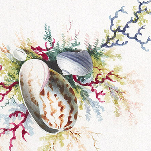 Drawing, Ornamental Design with Coral, Seaweed, and Shells, 19th century