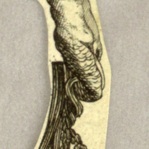 Print