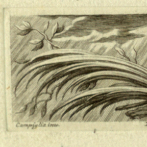 Print